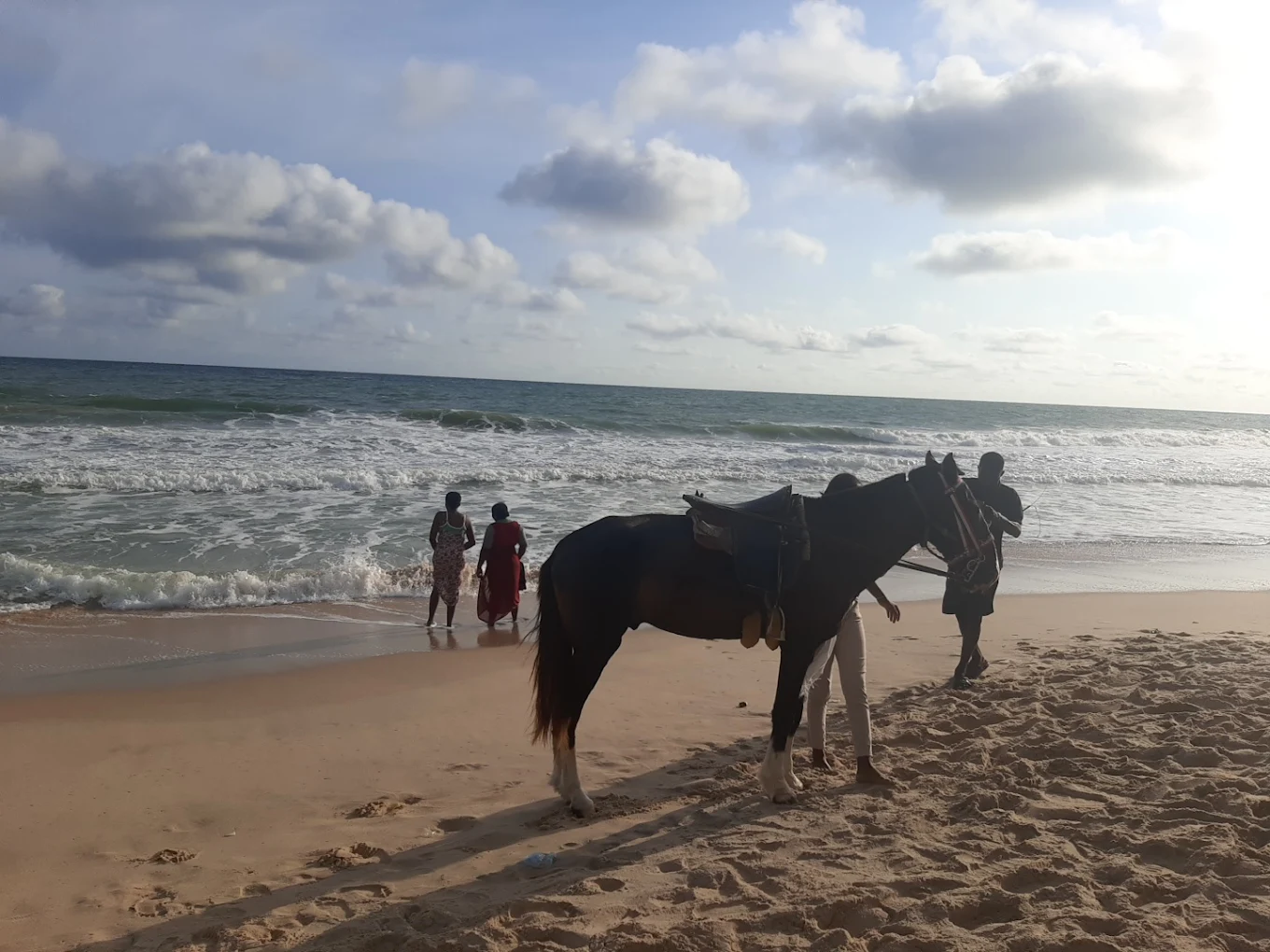 Horse on the beach